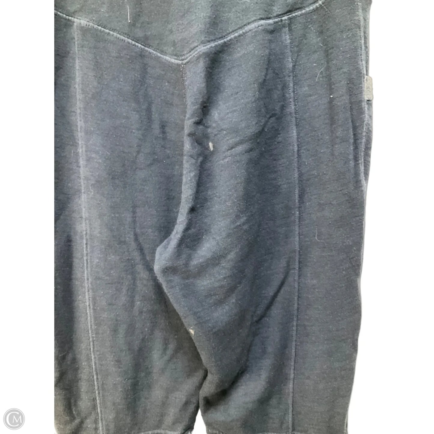 Athletic Pants By Free People In Blue, Size: S