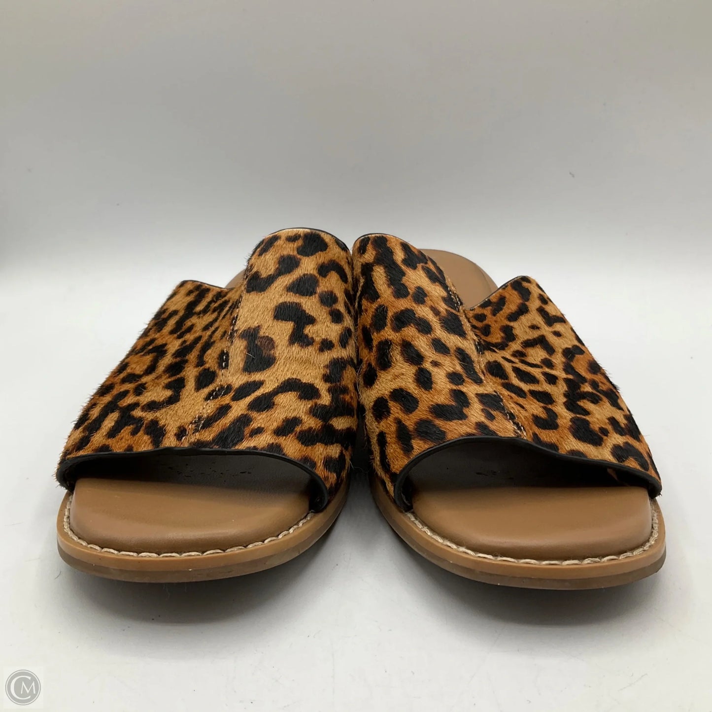 Sandals Flats By Aerosoles In Animal Print, Size: 7.5