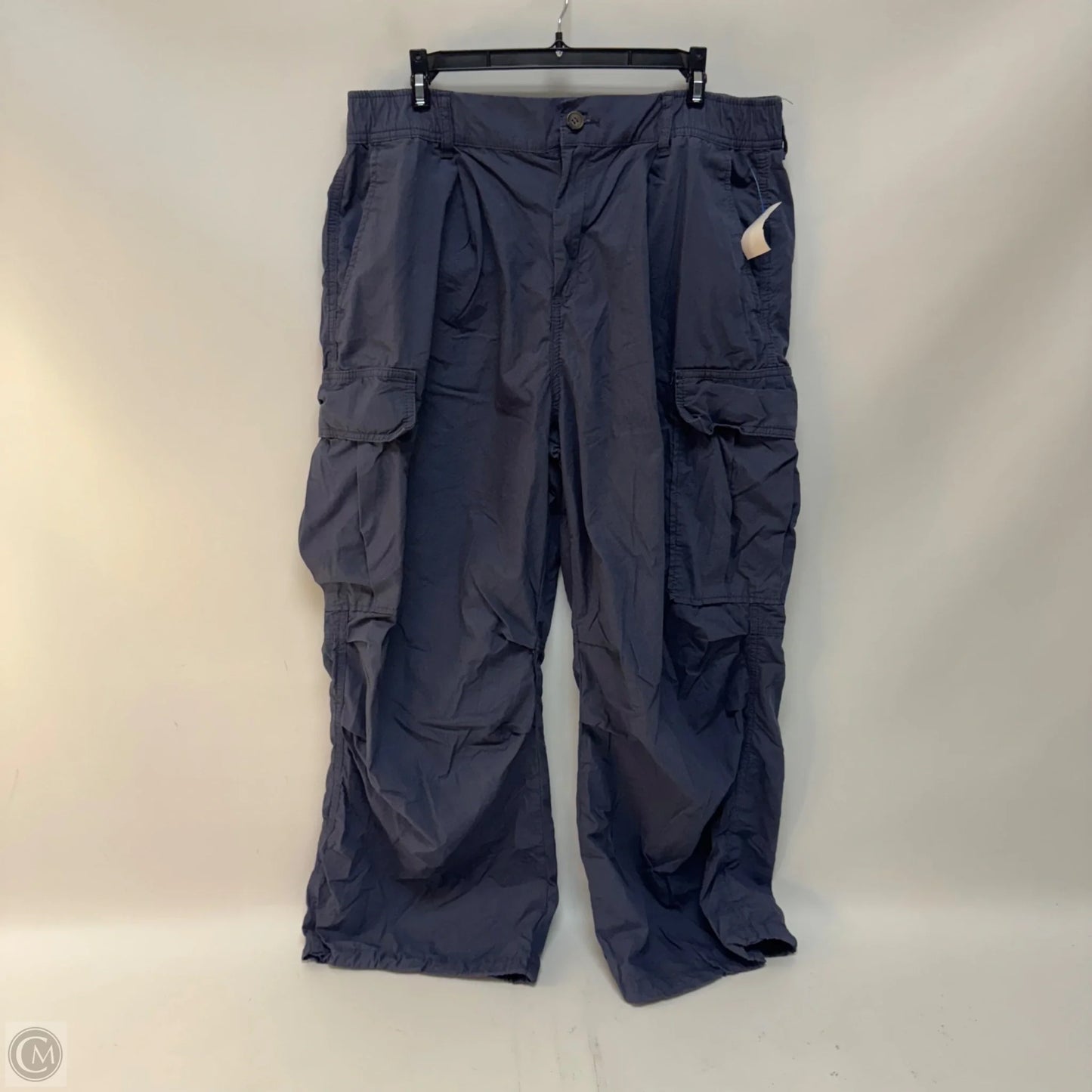 Pants Cargo & Utility By Anthropologie In Blue, Size: 22