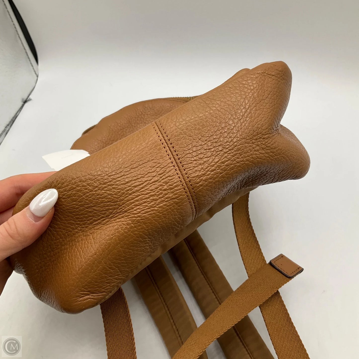 Backpack Designer By Coach, Size: Small