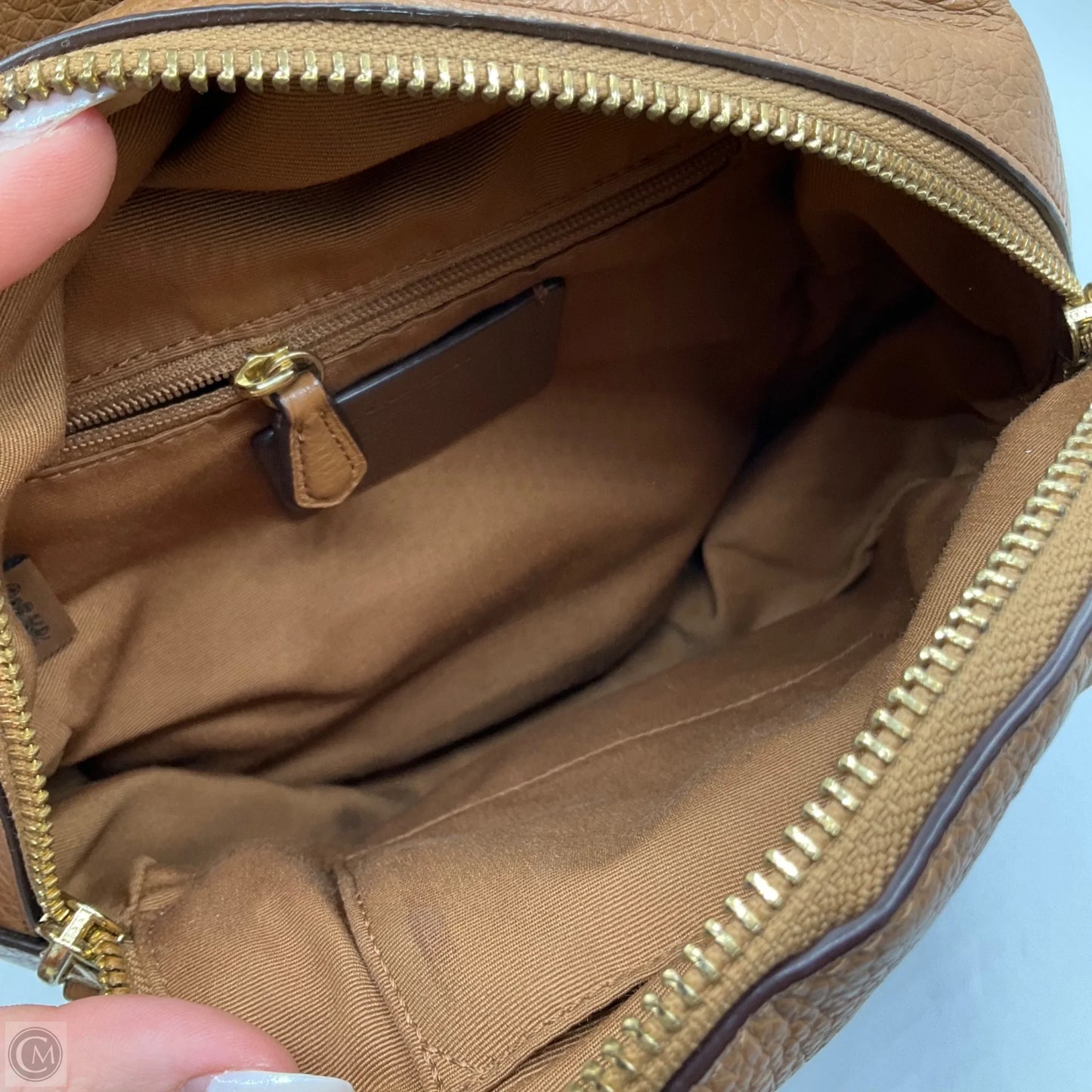 Backpack Designer By Coach, Size: Small