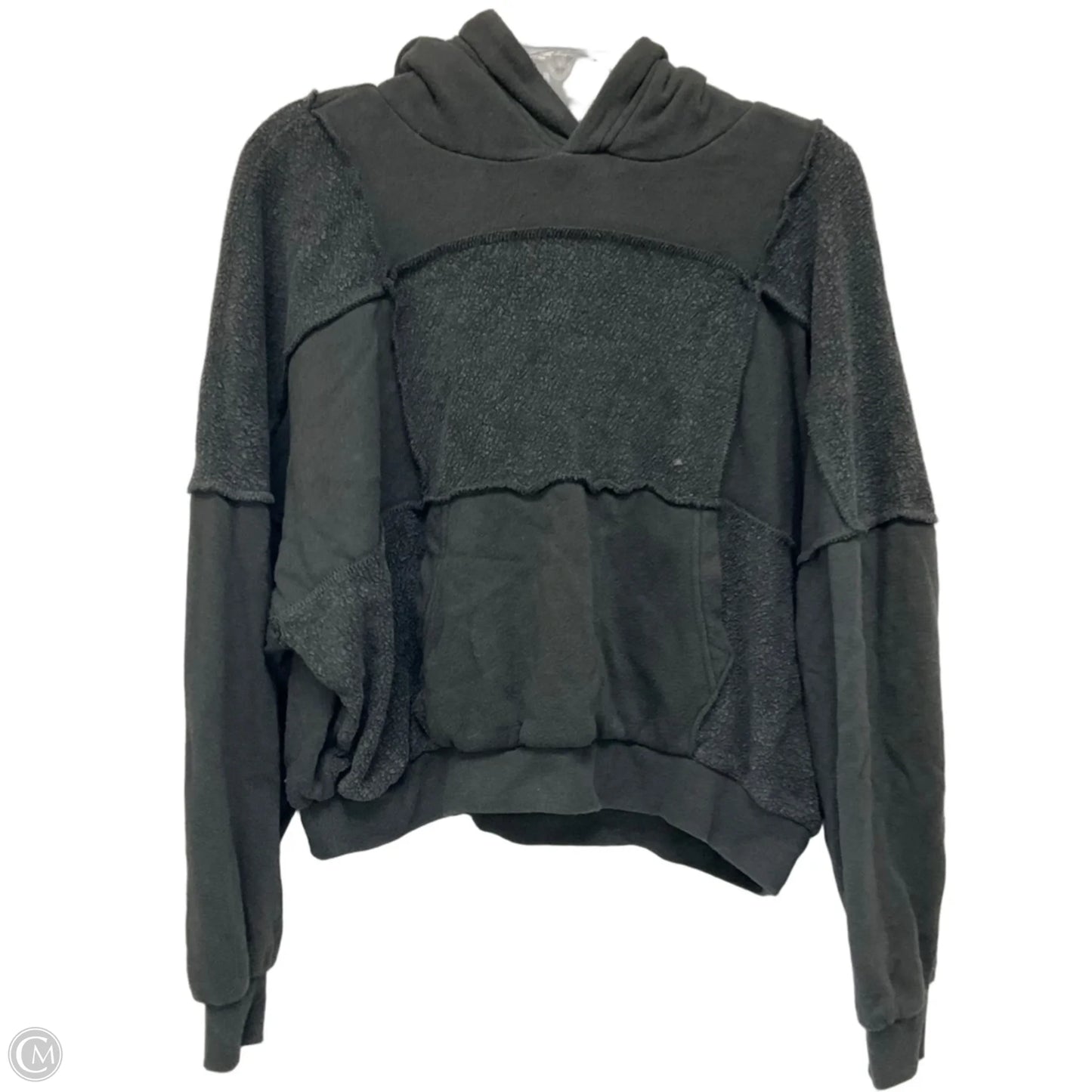 Sweatshirt Hoodie By Aerie In Grey, Size: Xs