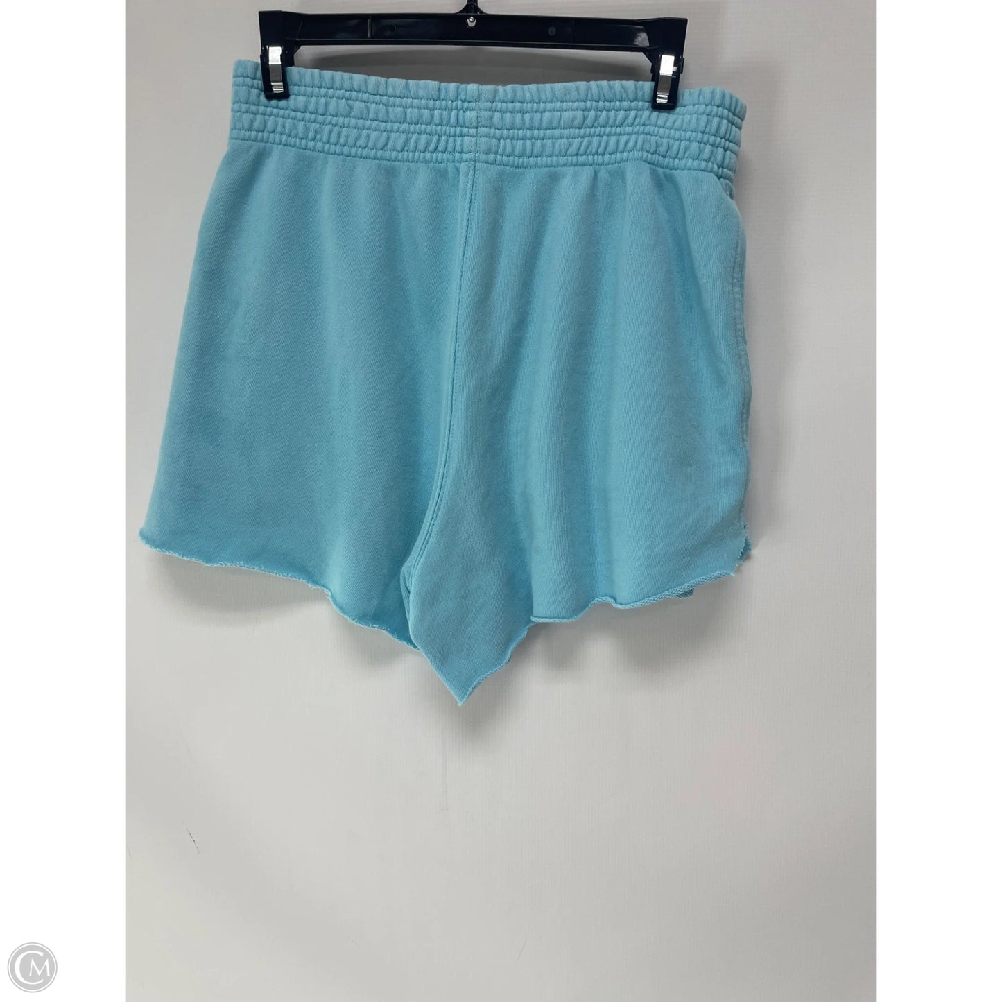 Shorts By Aerie In Aqua, Size: Xs