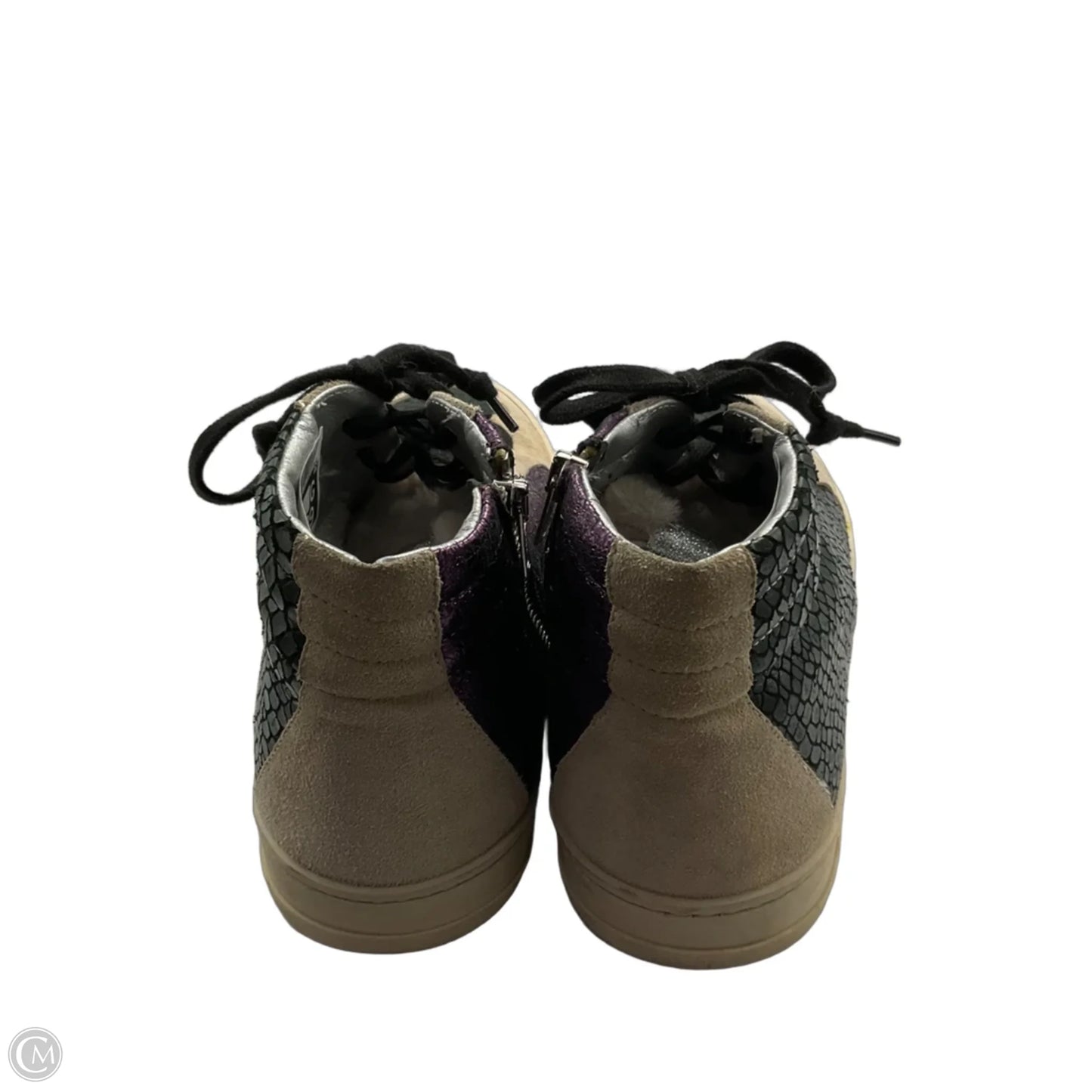 Shoes Sneakers By P448 In Green & Purple, Size: 10