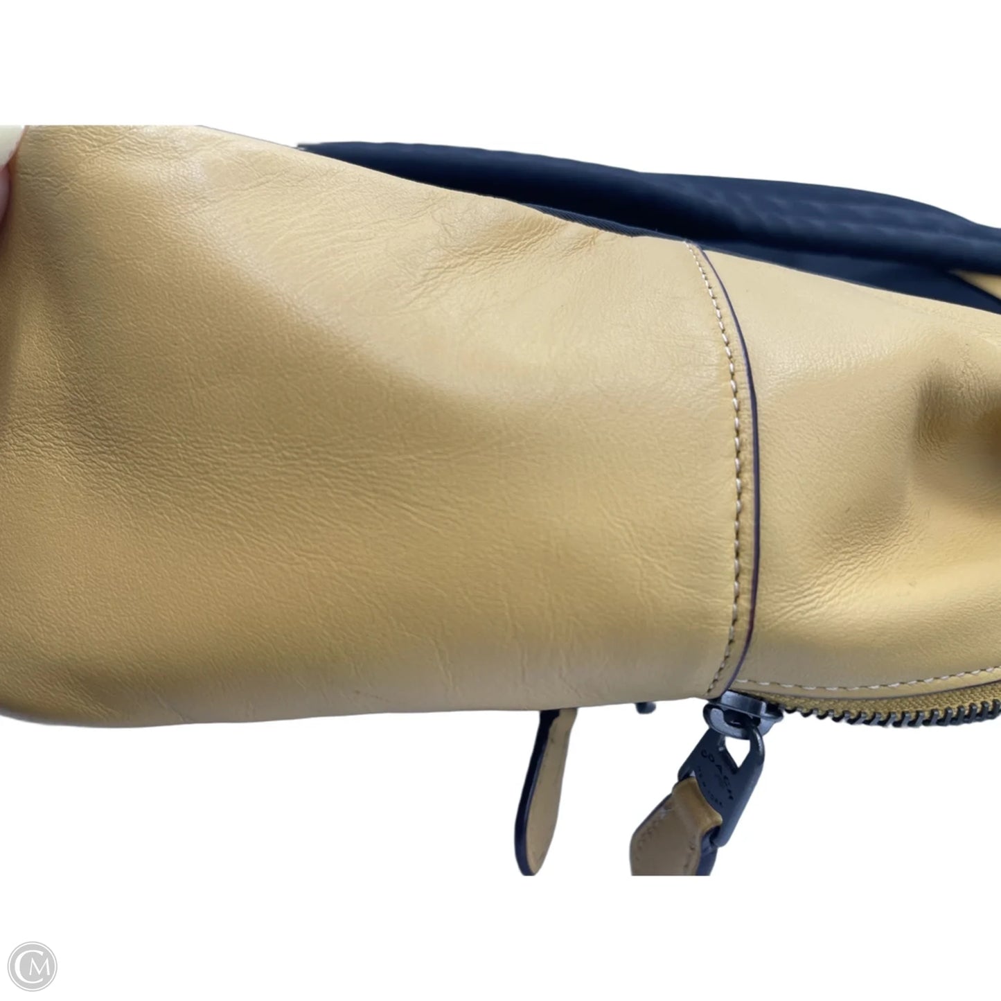 Backpack Designer By Coach, Size: Medium