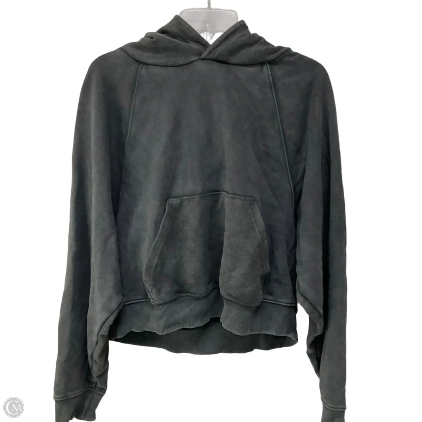 Sweatshirt Hoodie By Aerie In Grey, Size: L