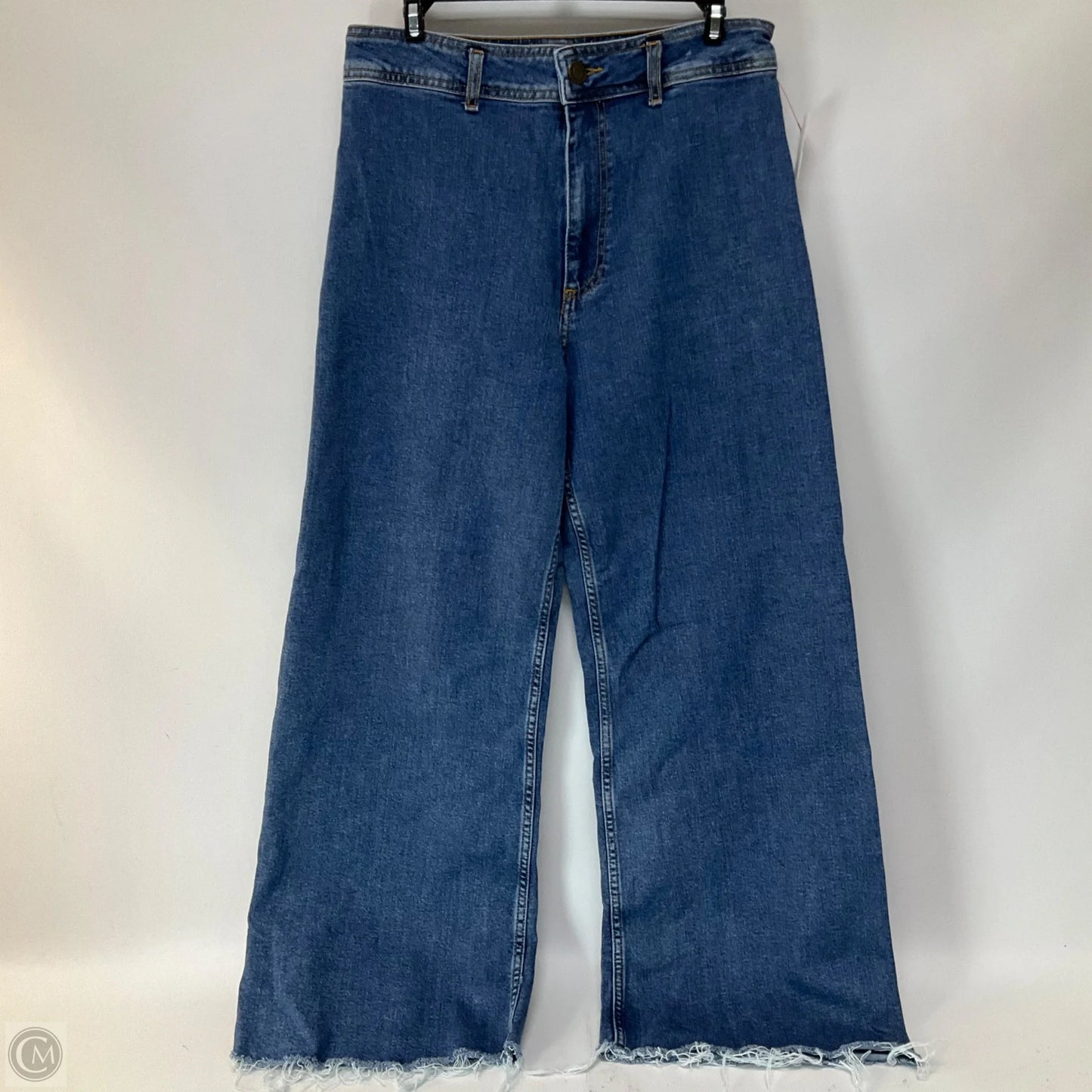 Jeans Wide Leg By Zara In Blue Denim, Size: 10