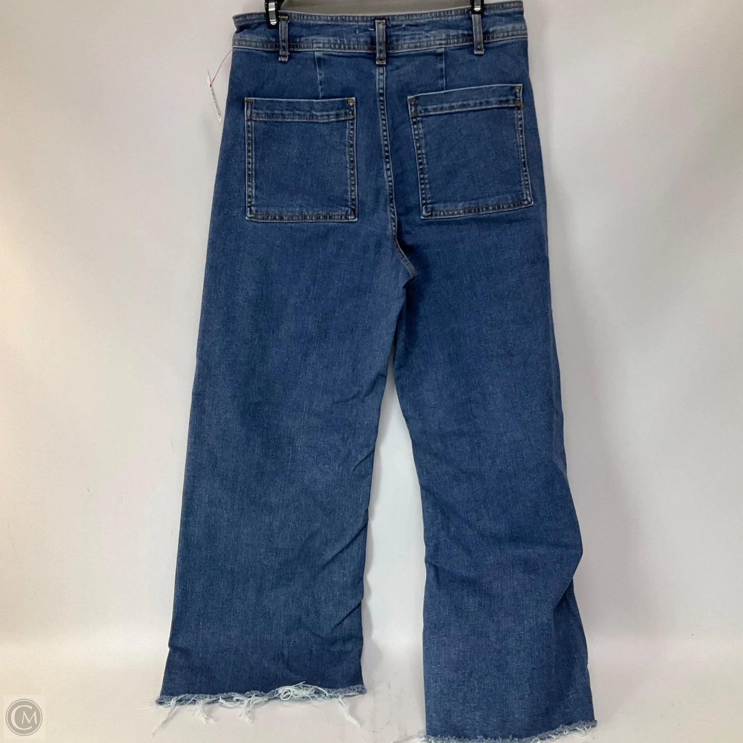 Jeans Wide Leg By Zara In Blue Denim, Size: 10