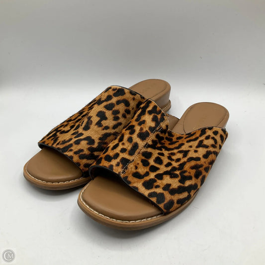 Sandals Flats By Aerosoles In Animal Print, Size: 7.5
