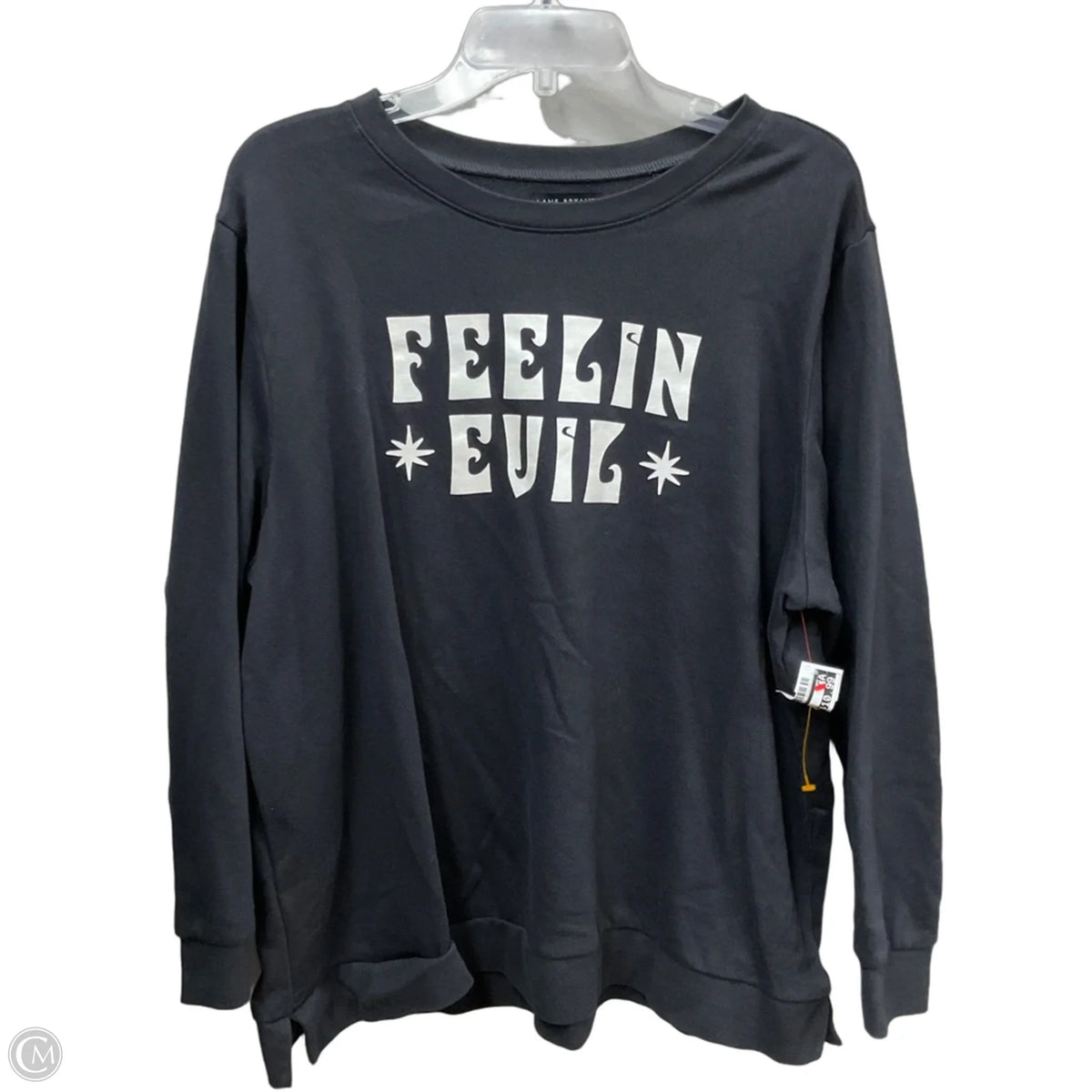 Top Long Sleeve By Lane Bryant In Black, Size: 2x