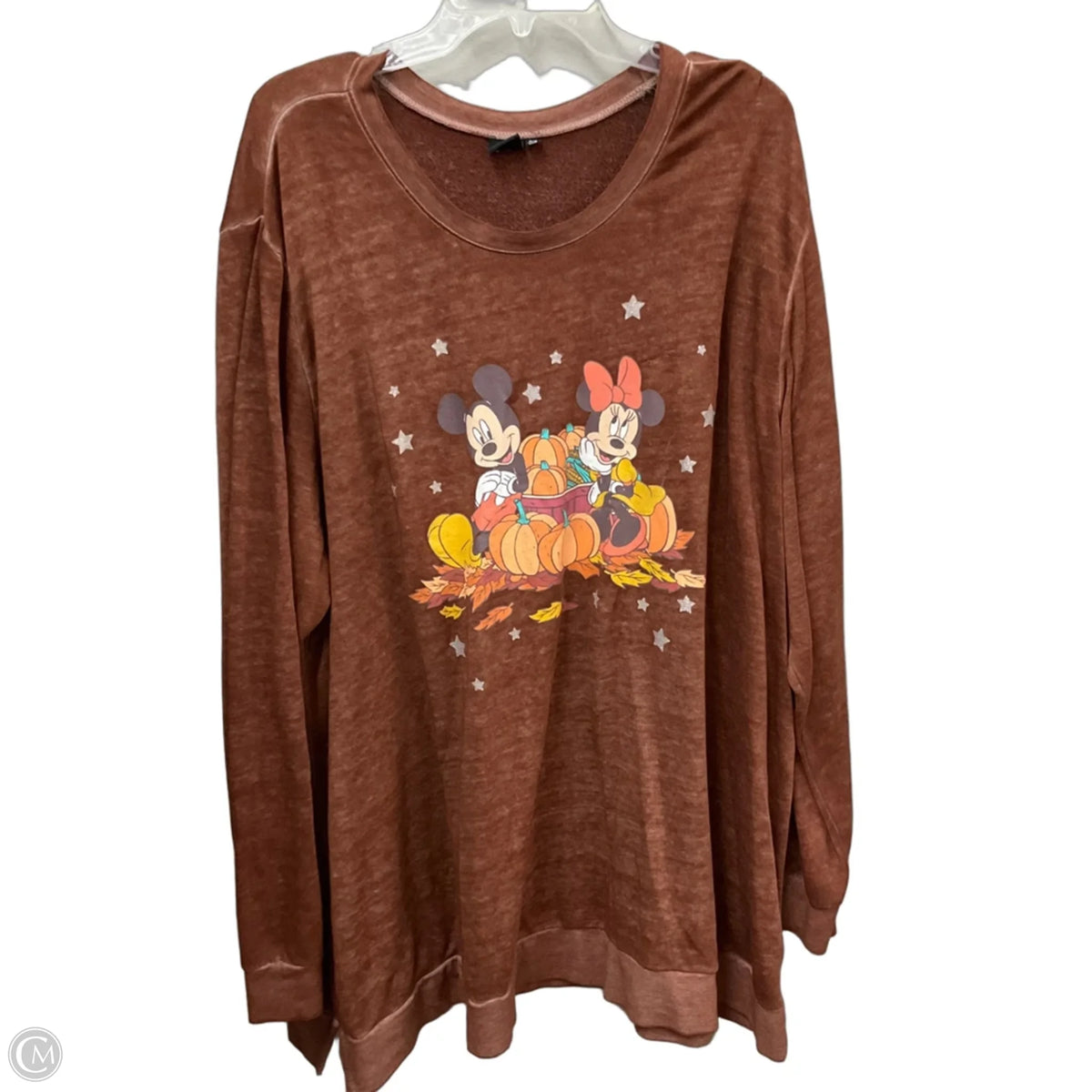 Top Long Sleeve By Disney In Brown, Size: 4x