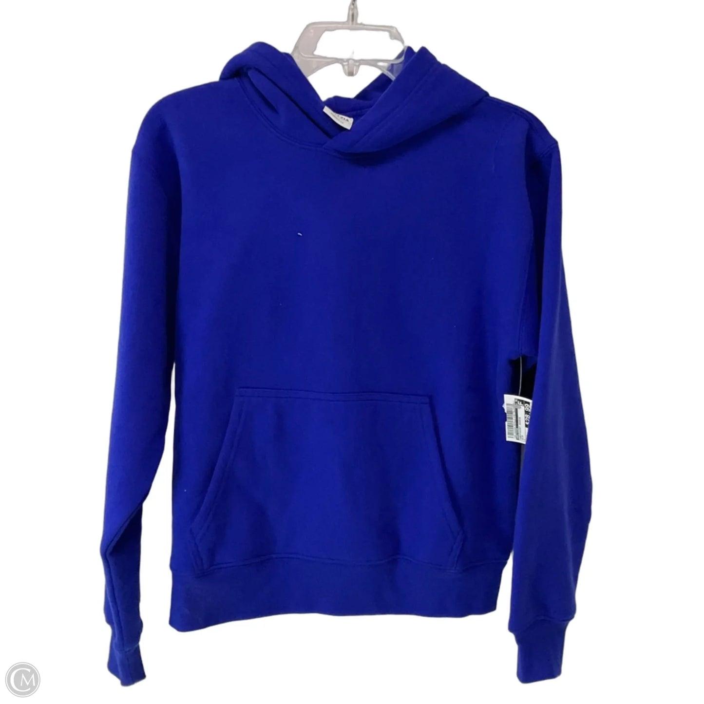 Sweatshirt Hoodie By Aritzia In Blue, Size: S