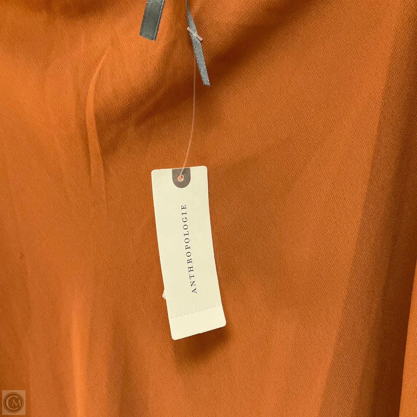 Skirt Maxi By Anthropologie In Brown, Size: M