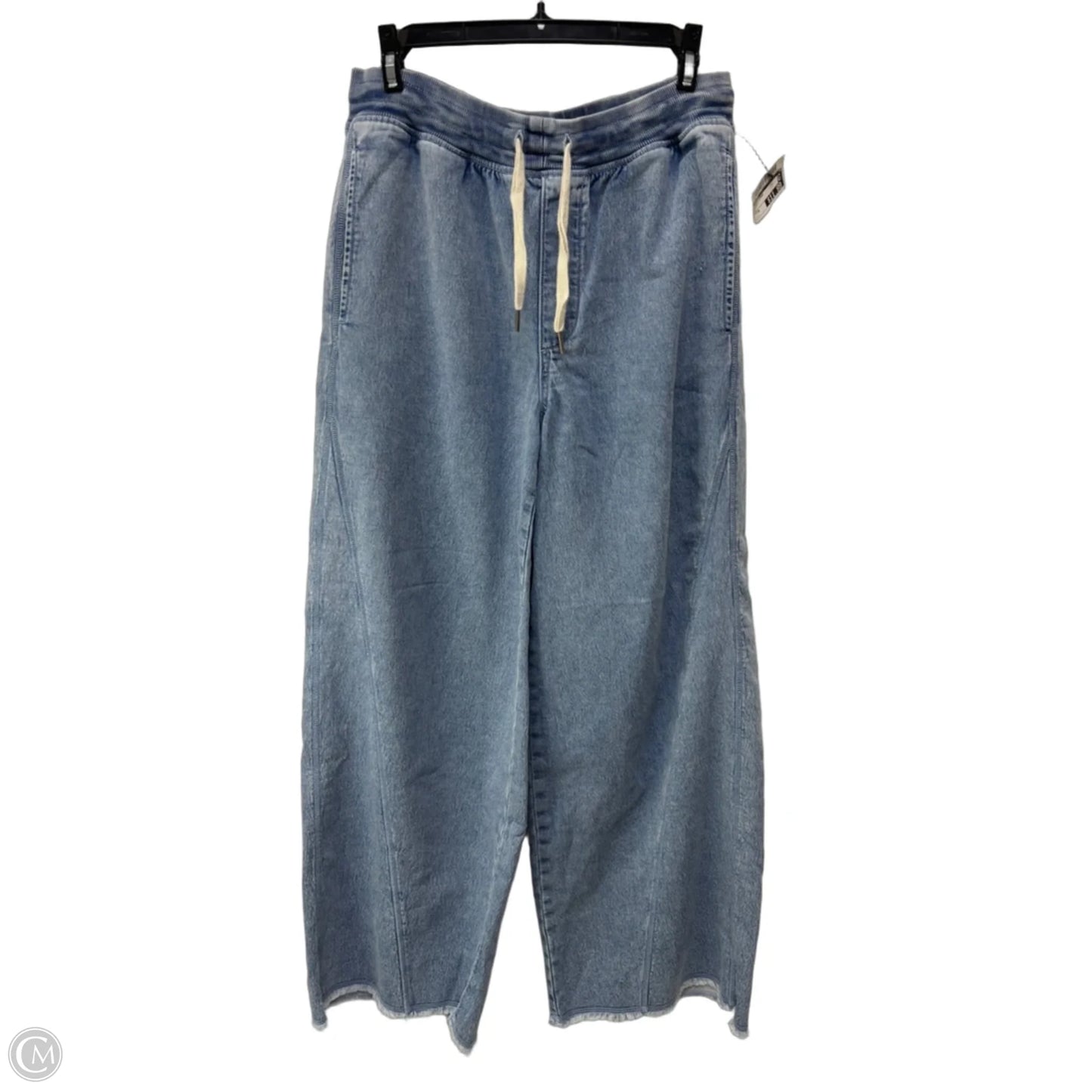 Pants Other By Aerie In Blue, Size: M