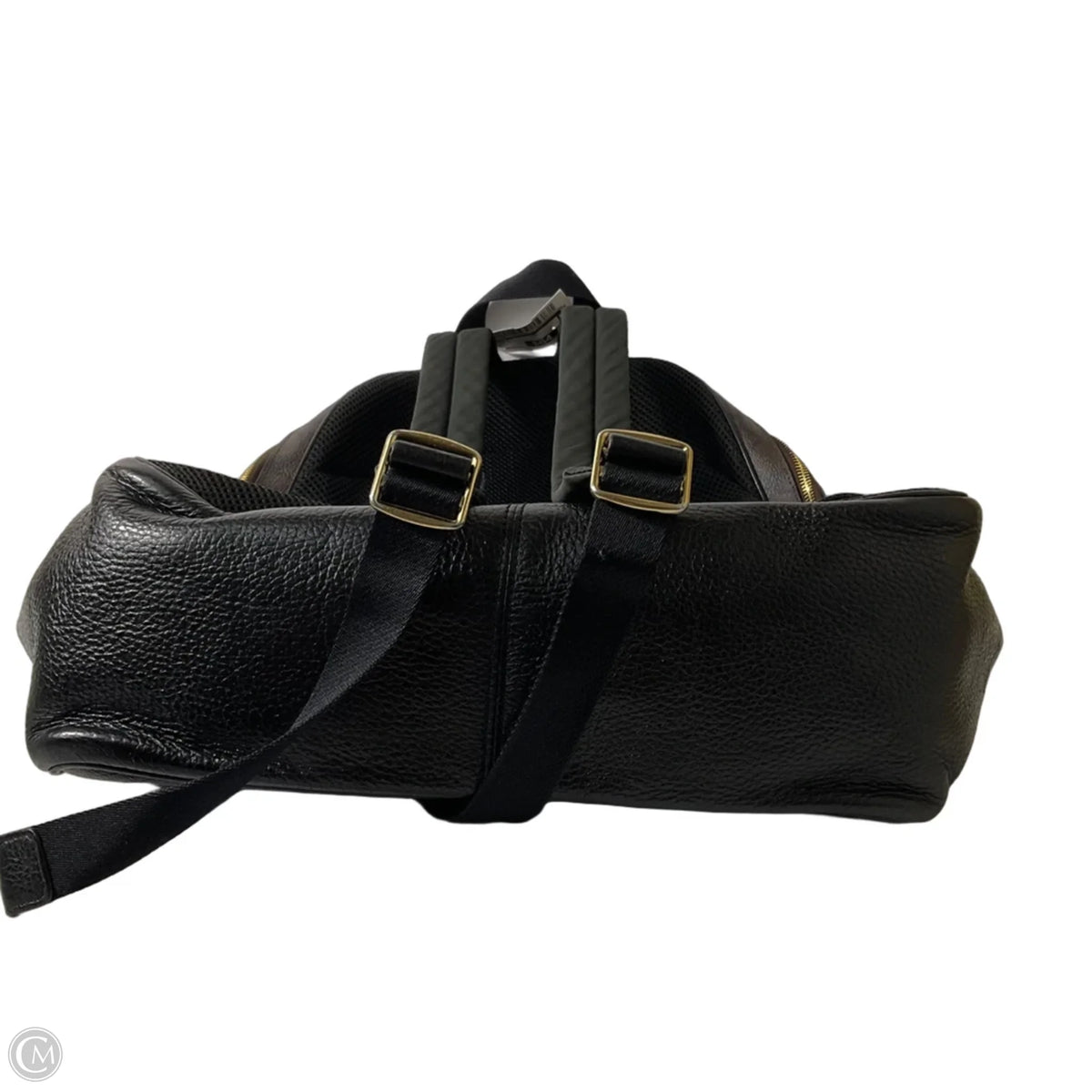 Backpack Designer By Coach, Size: Medium